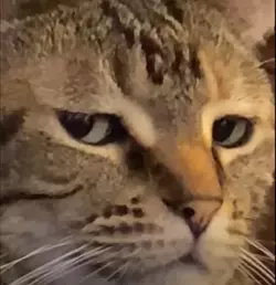 1625171589070.png