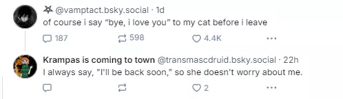 1732059162998.png