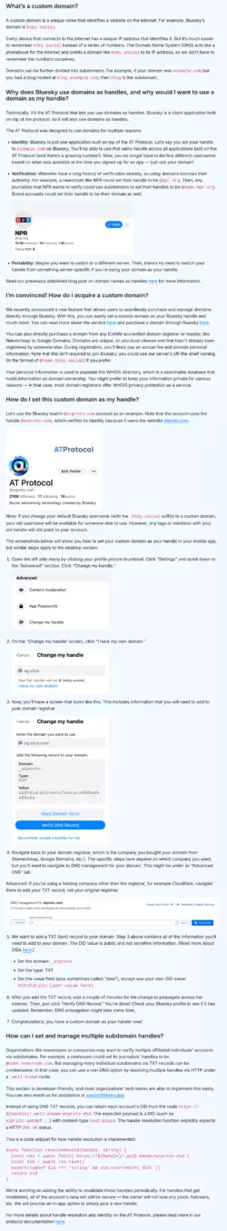 Screenshot 2024-11-20 at 02-17-09 How to set your domain as your handle - Bluesky.png