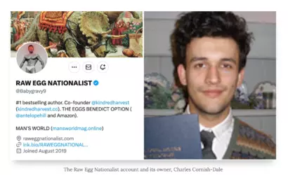 averagerightwingzoomer1.png