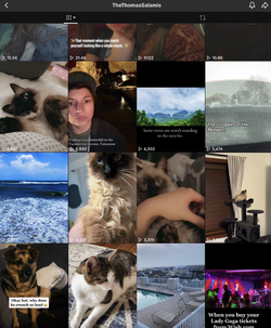 IMG_5274.jpeg