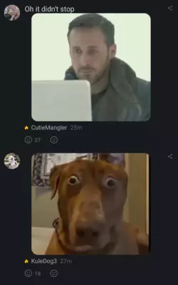 Screenshot_20241119-232129.png