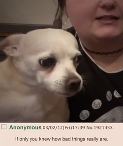 twnkie-howbadthingsreallyare.jpg