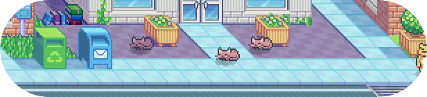 CatScareV5.gif