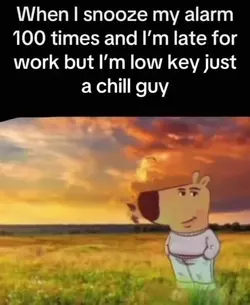 1732165907284.png