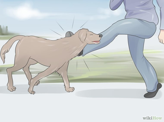 kick-the-dog-57b5b44ec4acd.jpeg