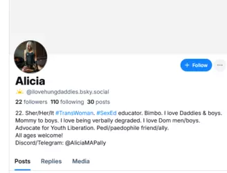 Screenshot 2024-11-21 at 09-25-41 Alicia (@ilovehungdaddies.bsky.social) — Bluesky.png