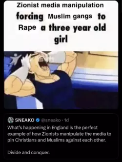 1732209529722.png