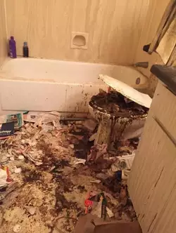 cursed-toilets-megathread-v0-e637byomytr81.jpg