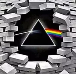 1732215447330.png