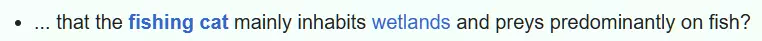 fishingcat.png