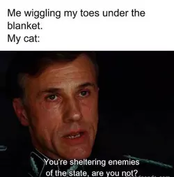 1732218543413.png