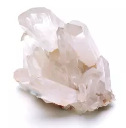 1732221606356.png