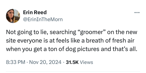 groomer.jpg