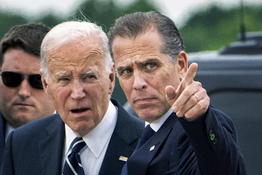 Bidens.jpg