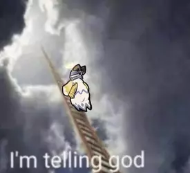 1732209905064507.jpg