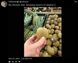 kiwi.jpg