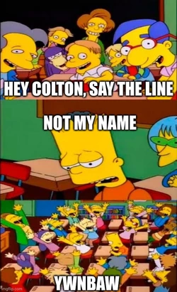 9b88zr.jpg