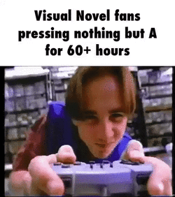 VN fans.gif