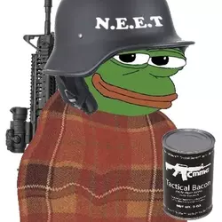 1732253198796.png