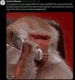 1732284653196.png