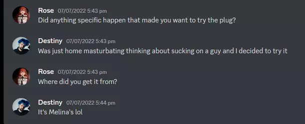 d_plug.png