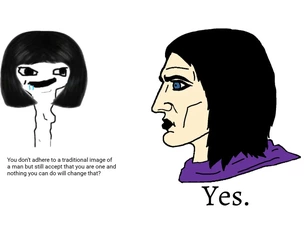 Troonphobia meme 23.jpg