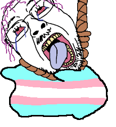 Troonphobia meme 33.gif
