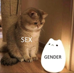 Troonphobia meme 41.jpeg