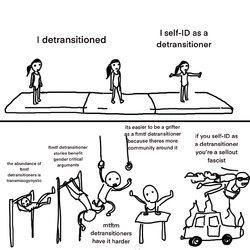 7wk5oedpqeo71 3.jpg