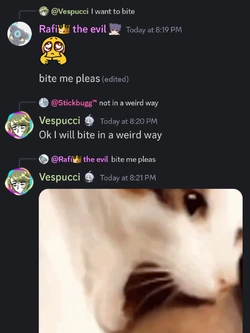 Screenshot_20241122_203255_Discord.jpg