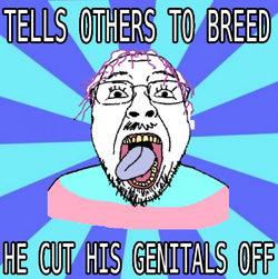 Troonphobia meme 108.jpg