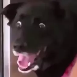 1732323590824.png