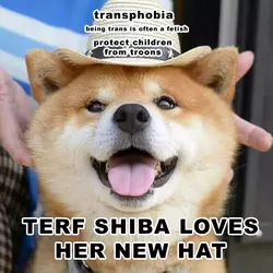 Troonphobia meme 119.png