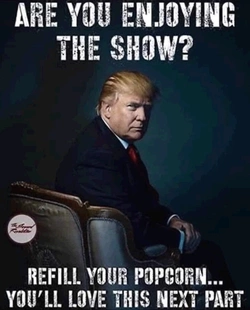 enjoying the show.jpg