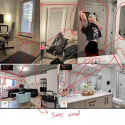 1732337513324.png