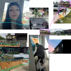 1732337636526.png