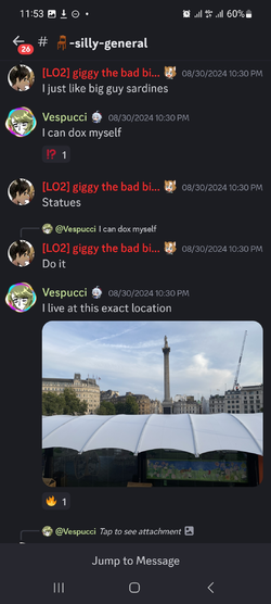Screenshot_20241123_115305_Discord.jpg