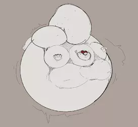 1732370894586.png