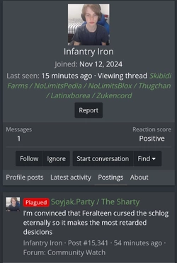 Screenshot_20241123_163344_Chrome.jpg