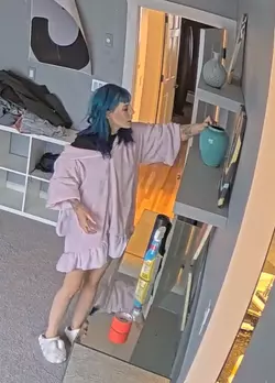 decor.png