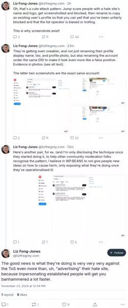 screencapture-bsky-app-profile-lizthegrey-com-post-3lbn653xyoc2q-2024-11-23-13_06_54.png