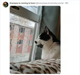 1732389688084.png