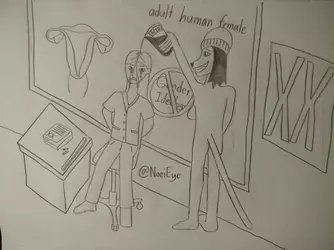 1732391393655.png