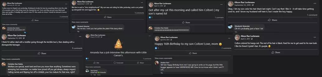 Allison Facebook Posts.png