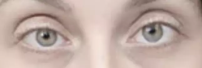 1732408743124.png