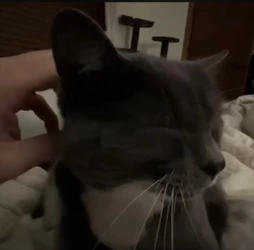 Screenshot_20241124_013948_YouTube.jpg