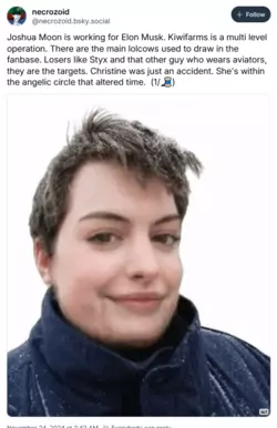 1732417066598.png