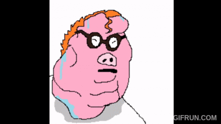 95c4b75d7ba04c2eac0c4bfb31a3fb90.gif