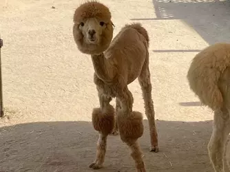 1732455229758.png